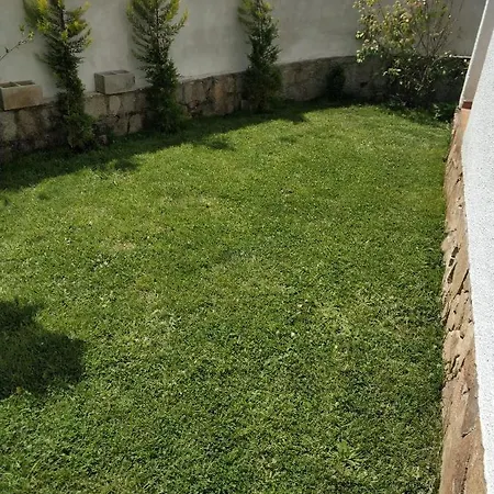 La Lechuza Blanca