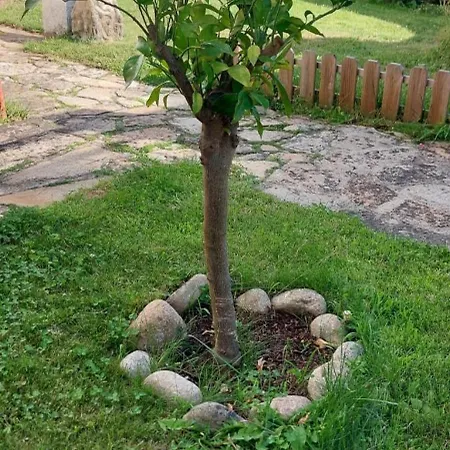 木屋 La Lechuza Blanca