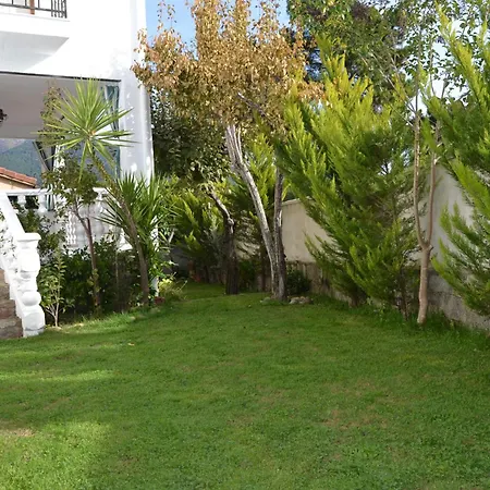 La Lechuza Blanca Casavieja