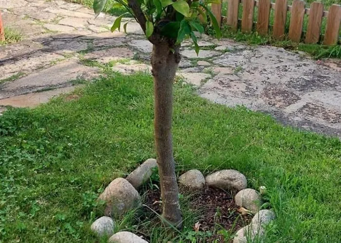 木屋 La Lechuza Blanca