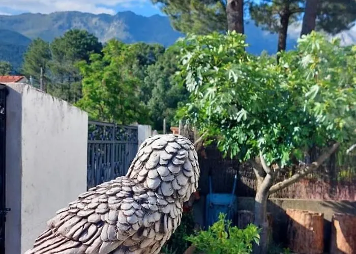 木屋 La Lechuza Blanca *