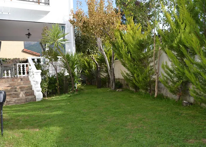 La Lechuza Blanca Casavieja